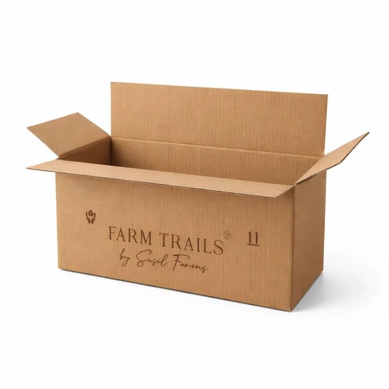 RSB Corrugated Box